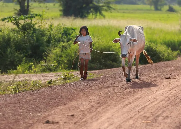 Séjour chez l'habitant Chansor 17 By Siem Reap Homesteading