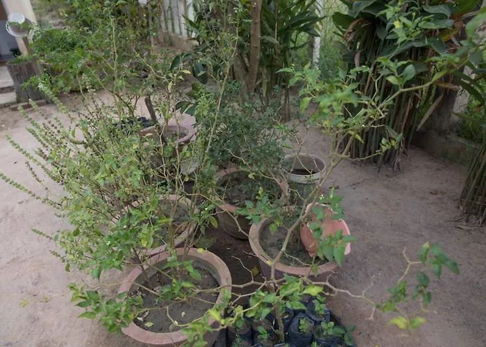 Séjour chez l'habitant Chansor 17 By Siem Reap Homesteading