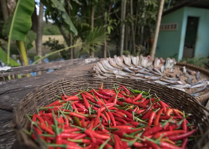 Chansor 17 By Siem Reap Homesteading *