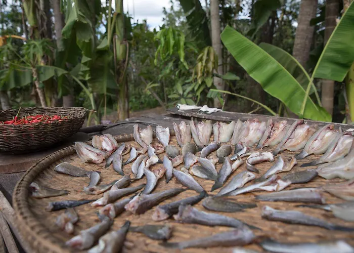 Chansor 17 By Siem Reap Homesteading