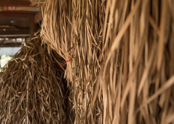 Séjour chez l'habitant Chansor 17 By Siem Reap Homesteading *