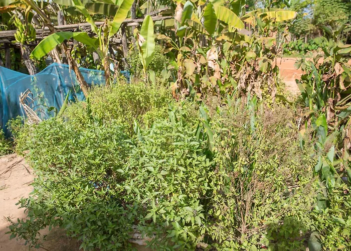 Chansor 17 By Siem Reap Homesteading Séjour chez l'habitant *