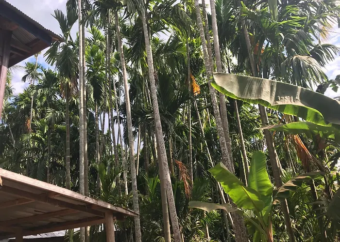 Chansor 17 By Siem Reap Homesteading Séjour chez l'habitant Phumi Trach Pok