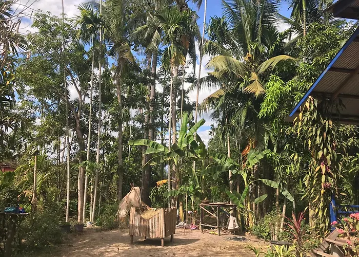 Chansor 17 By Siem Reap Homesteading Séjour chez l'habitant