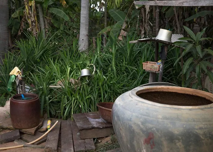 Chansor 17 By Siem Reap Homesteading Phumi Trach Pok